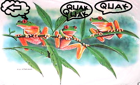 3froesche.jpg